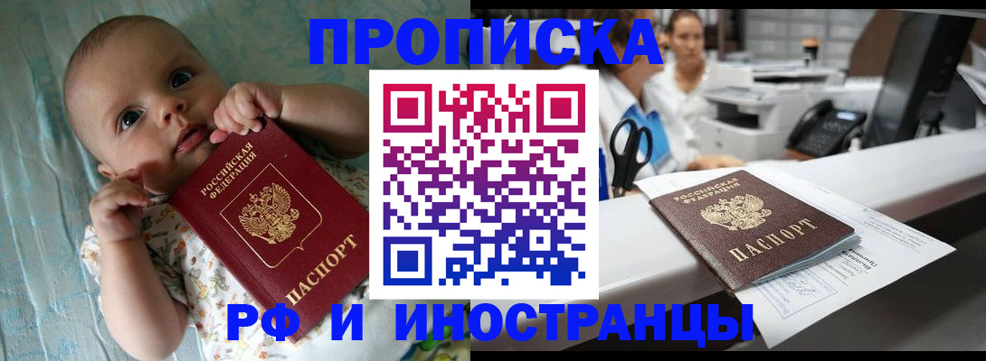 прописка поиск в Сланцах